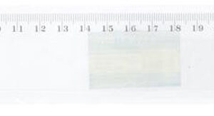 Pravítko průhledné