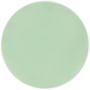 PROCOS Plastový talíř DECORATA 25cm sv.zelený 2ks