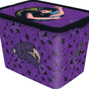 STOR Plastový úložný box s víkem Wednesday 23l