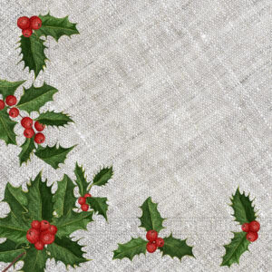 PROCOS Vánoční papírové ubrousky 33x33cm 3vrstvé větvičky 20ks