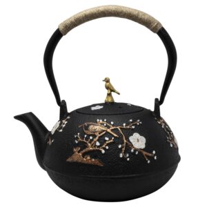 HIT Litinová konvice na čaj 1000ml malba